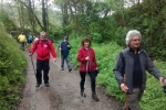 phoca_thumb_l_2015.04-colunga-villaviciosa-030-red