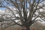 phoca_thumb_l_foncebadon-03.12-018img_4146