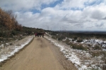 phoca_thumb_l_foncebadon-03.12-025img_4155
