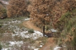 phoca_thumb_l_foncebadon-03.12-034img_4164