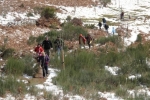 phoca_thumb_l_foncebadon-03.12-047img_4178
