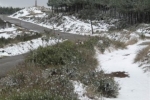 phoca_thumb_l_foncebadon-03.12-067img_4199