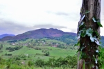 2013-covadonga-r202