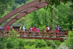 2013-covadonga-r343