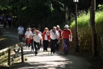 covadonga2014-maru-202-red